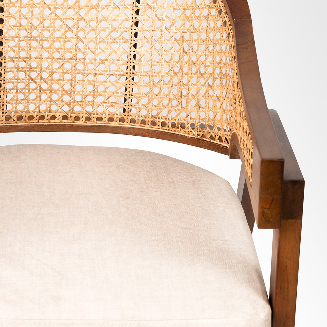 Birbal Dining Chair - Lakkadhaara