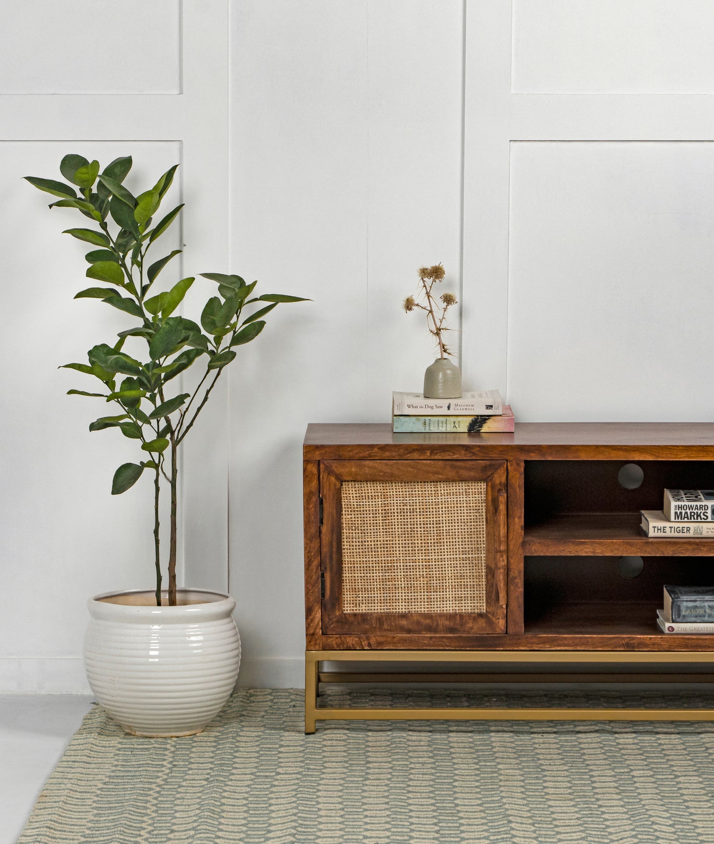 Avdesh TV Stand - Lakkadhaara