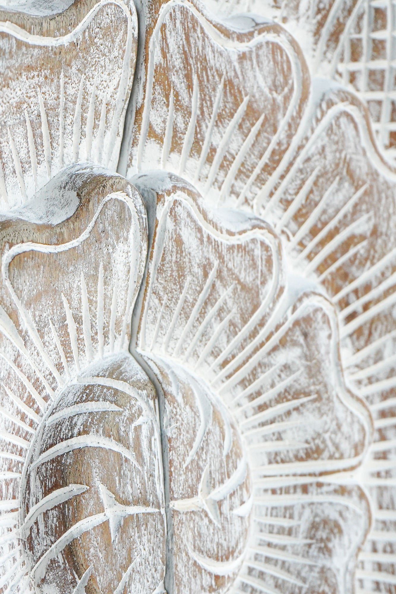 Costal White Carved Headboard - Lakkadhaara