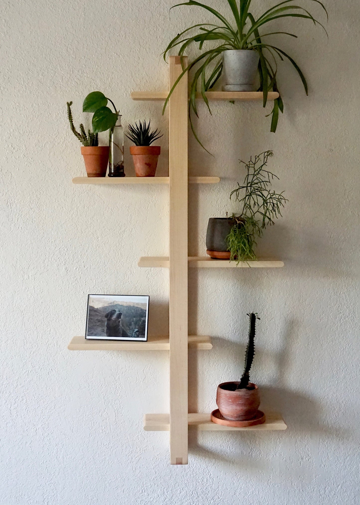 Soma Wall Rack - Lakkadhaara