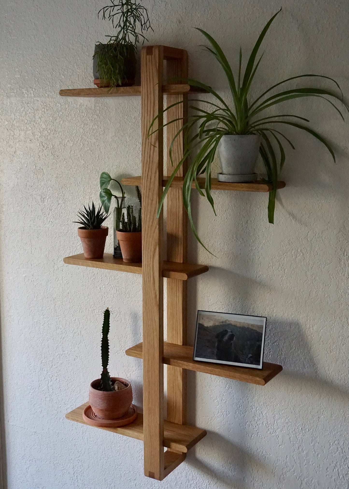 Soma Wall Rack - Lakkadhaara