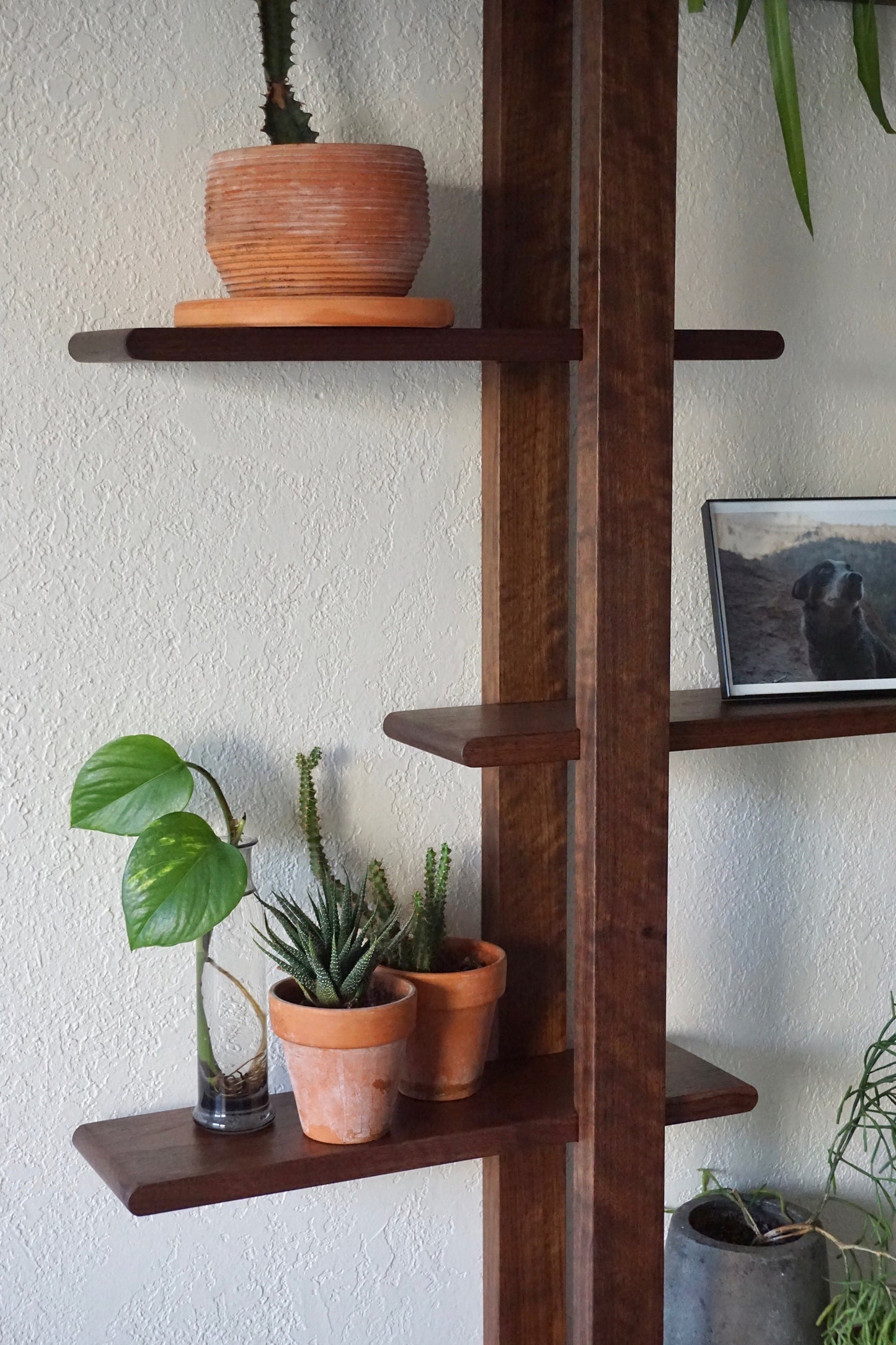 Soma Wall Rack - Lakkadhaara