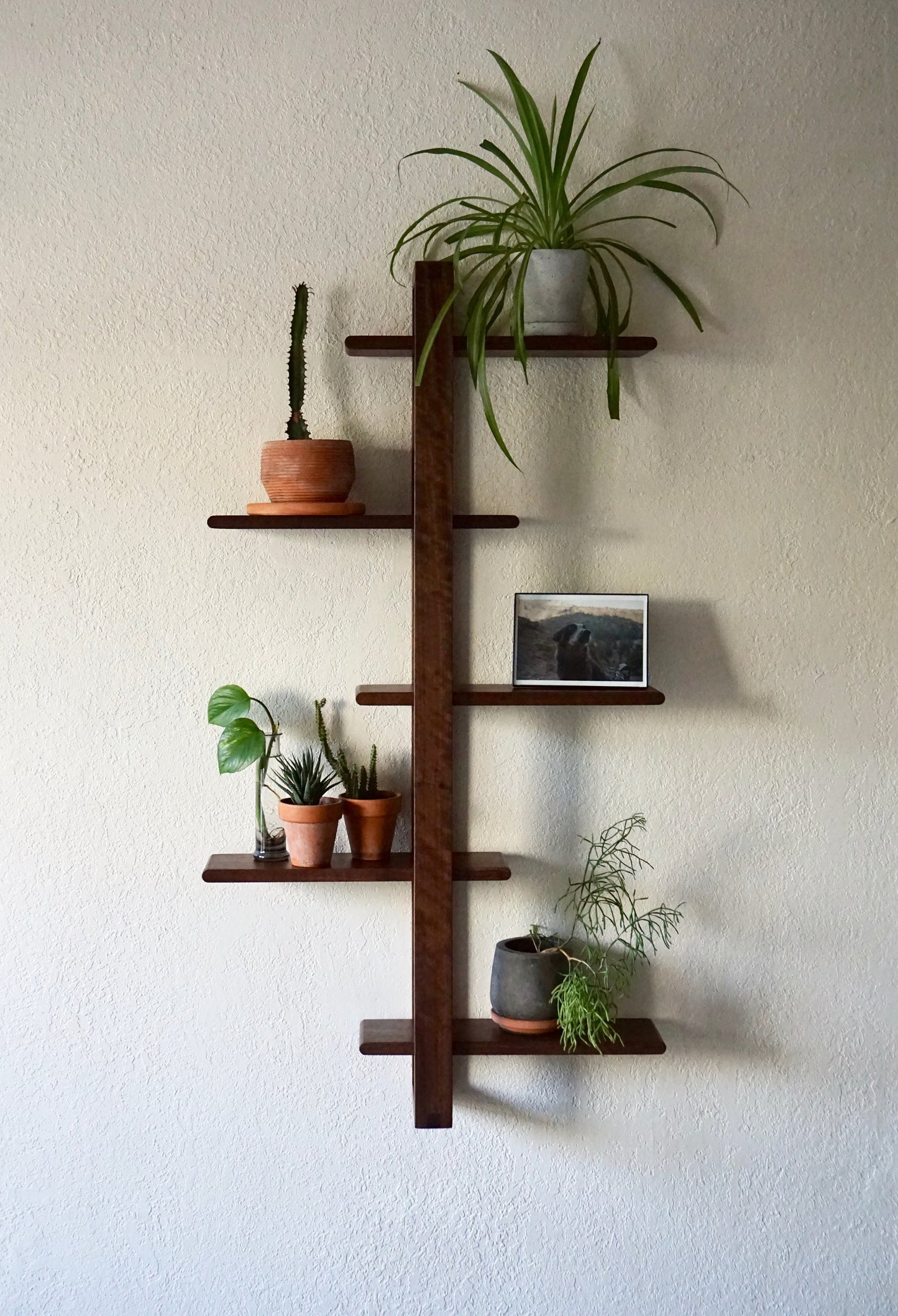 Soma Wall Rack - Lakkadhaara