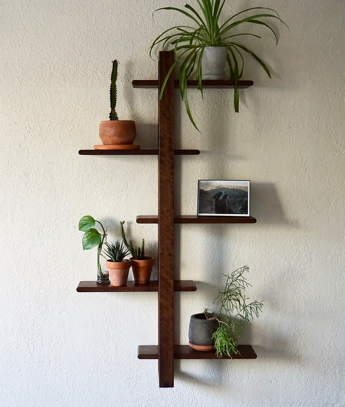 Soma Wall Rack