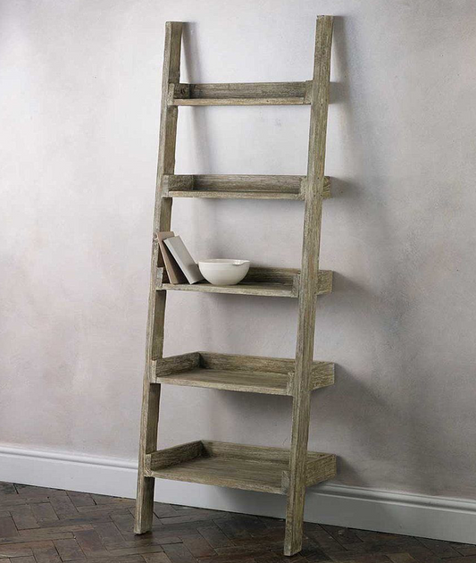 Dexter Ladder Bookshelf