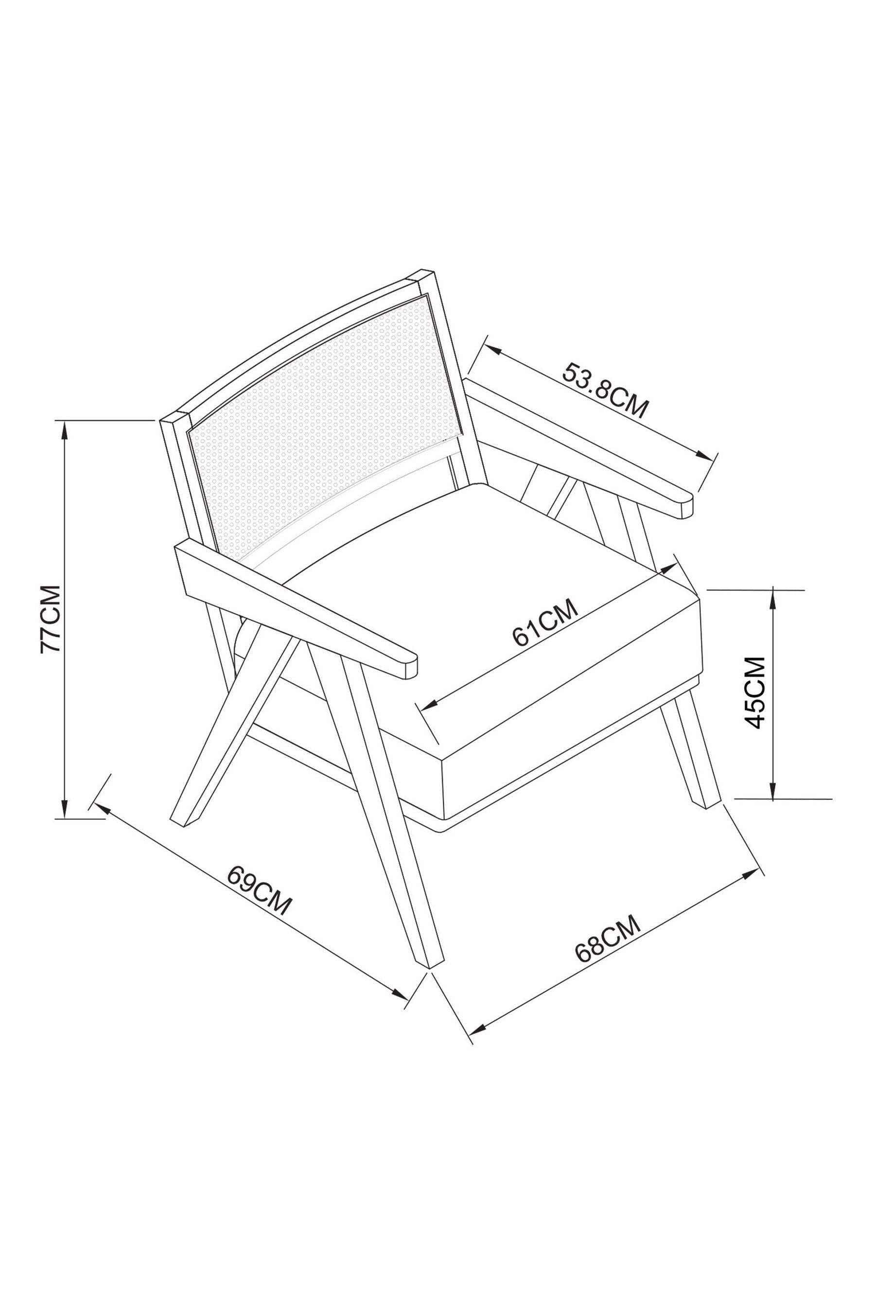Chandigarh Lounge Chair - Lakkadhaara