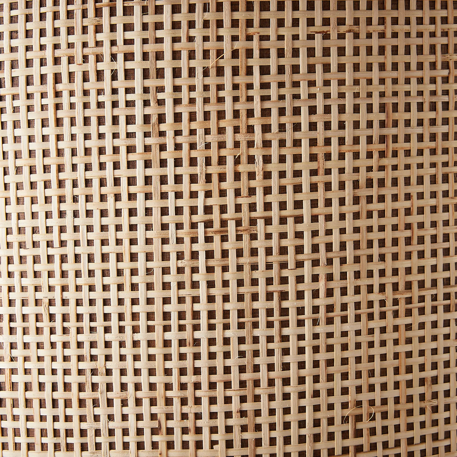 Ginger Coffee Table - Lakkadhaara
