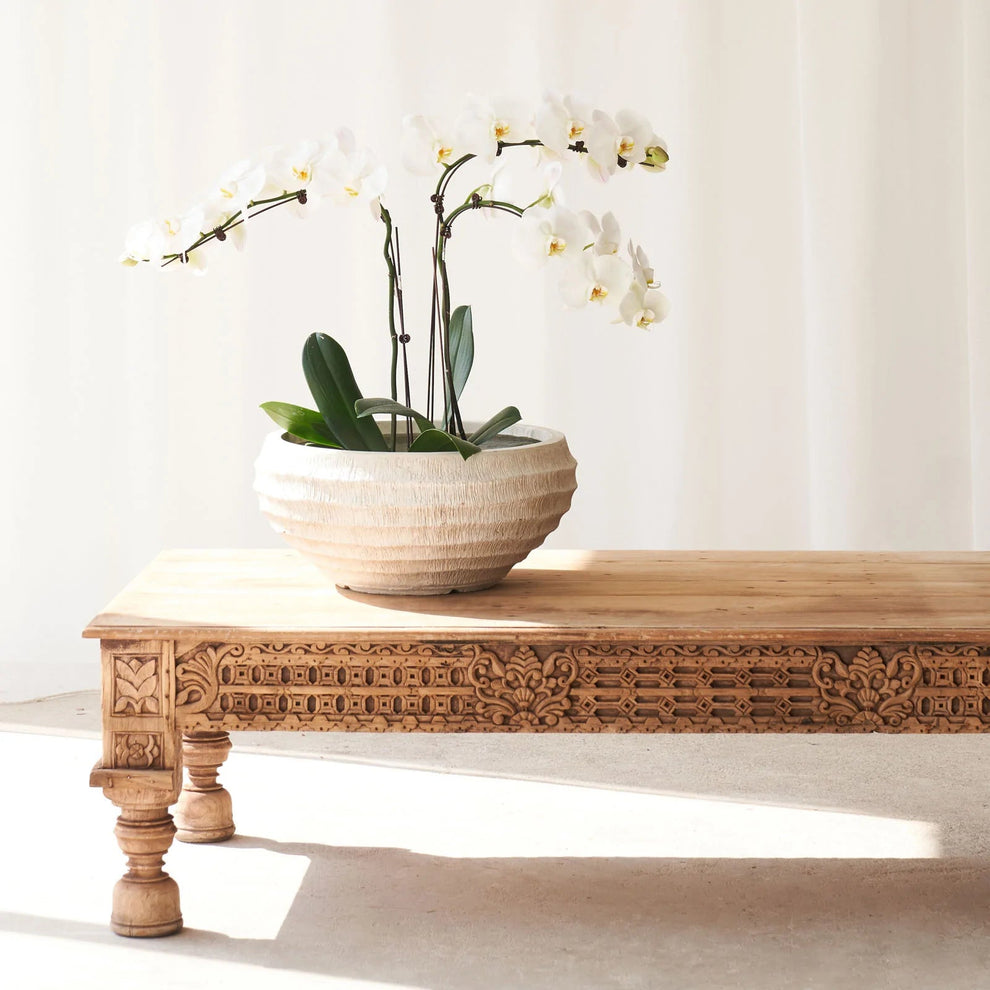 Groot Coffee Table - Carved Solid Wood Coffee Table India – Lakkadhaara