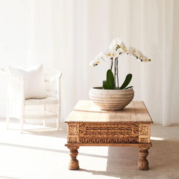 Groot Coffee Table - Carved Solid Wood Coffee Table India – Lakkadhaara