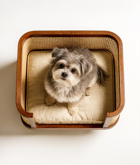 Kiwi Pet Bed