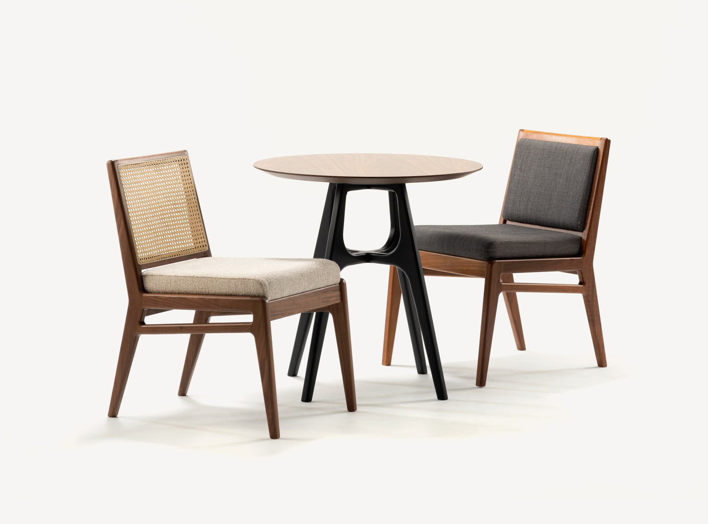 Ludo Dining Chair - Lakkadhaara