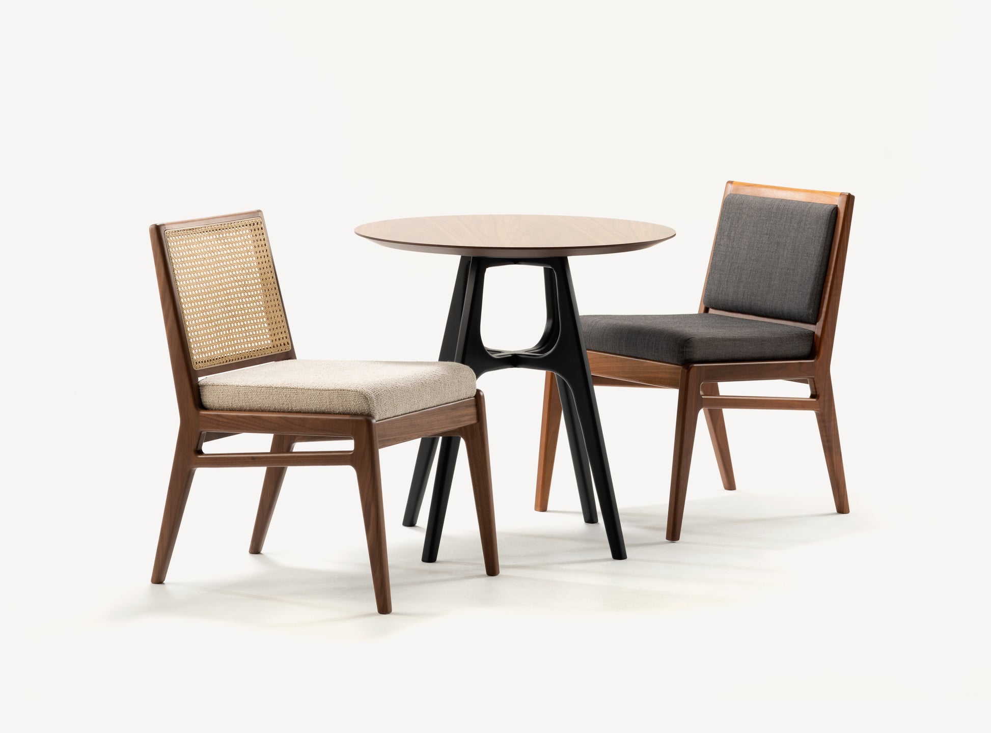 Ludo Dining Chair - Lakkadhaara
