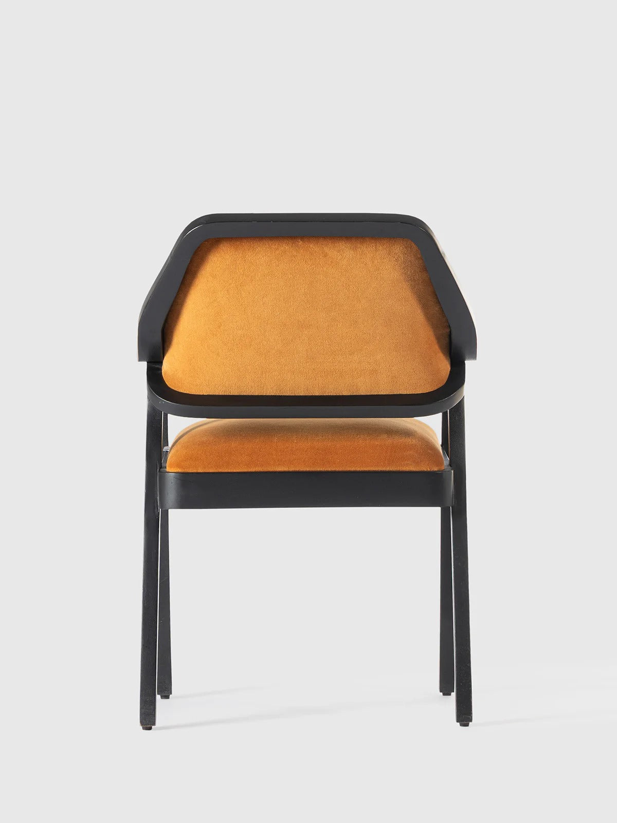 Monza Armchair - Solid Wood Velvet Upholstered Armchair India