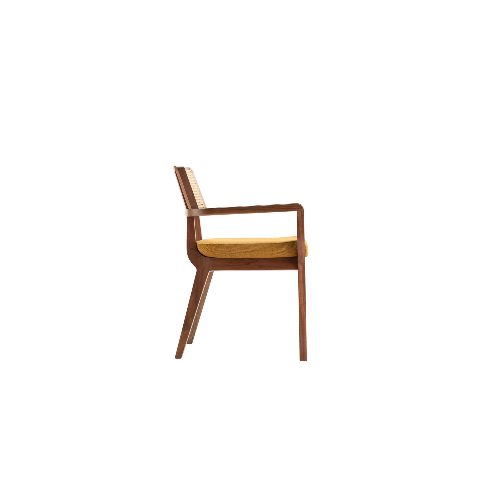 Nayla Chair - Lakkadhaara