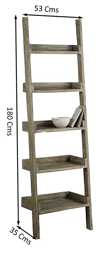 Dexter Ladder Bookshelf - Lakkadhaara