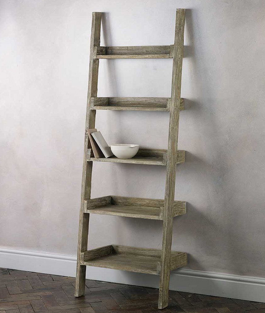 Dexter Ladder Bookshelf - Lakkadhaara