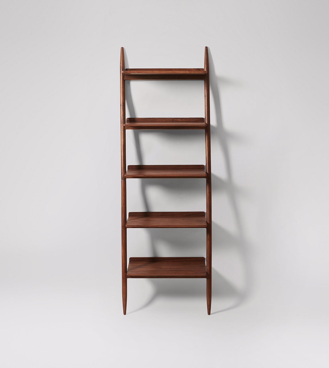 Lily Ladder bookshelf - Lakkadhaara