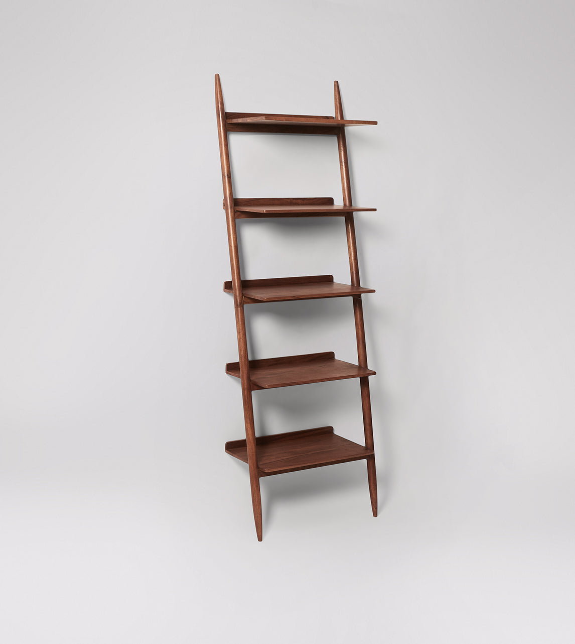 Lily Ladder bookshelf - Lakkadhaara