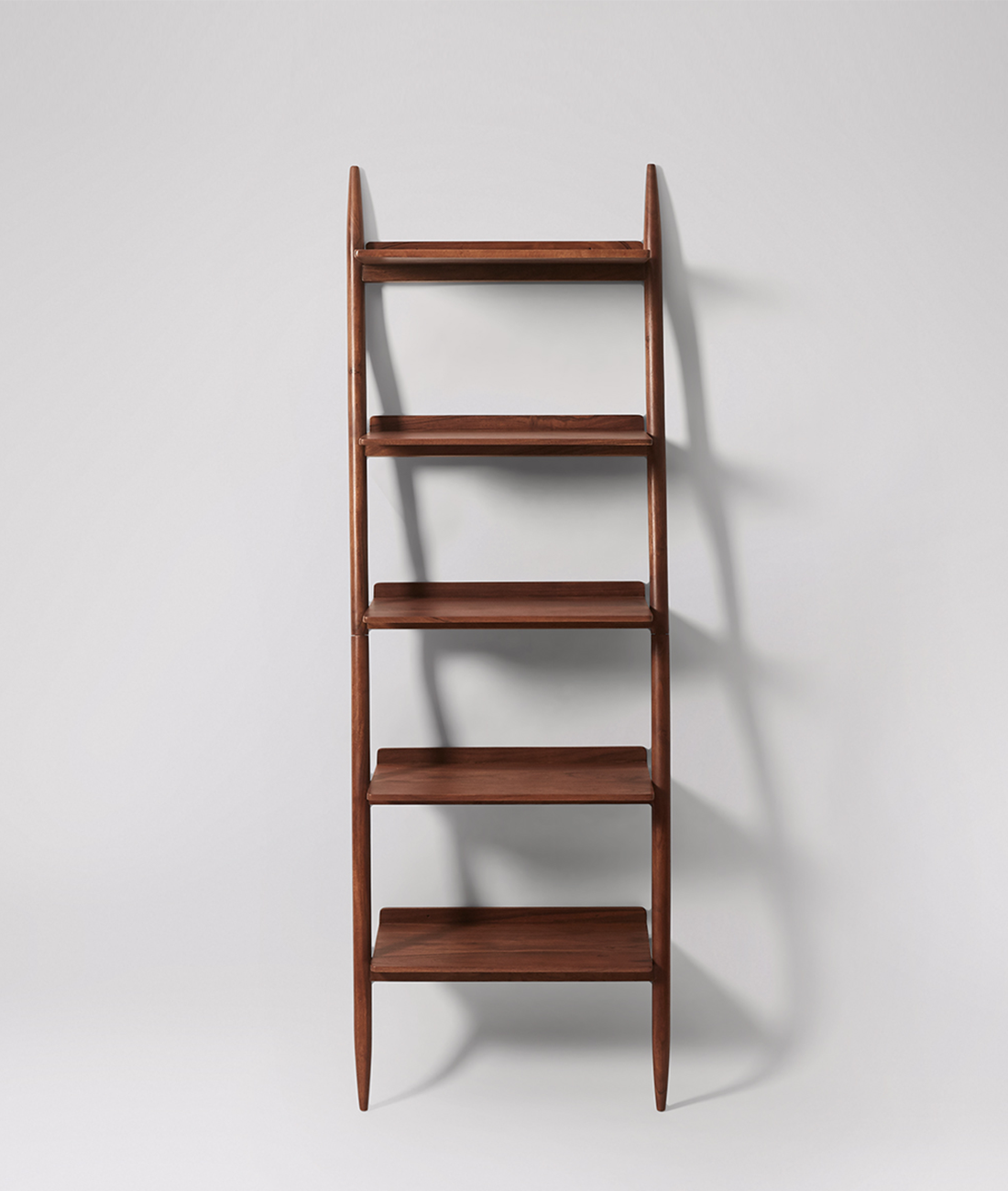 Lily Ladder bookshelf - Lakkadhaara