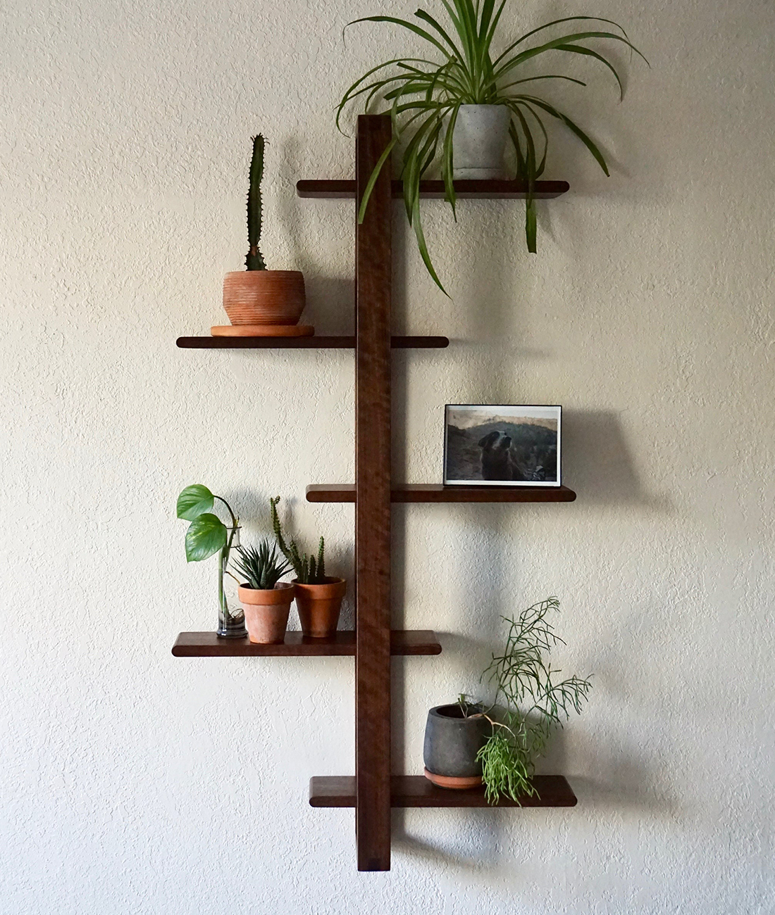 Timber Wall Racks Wall Shelves - Solid Wood Floating Shelves & Wall Racks India | Lakkadhaara