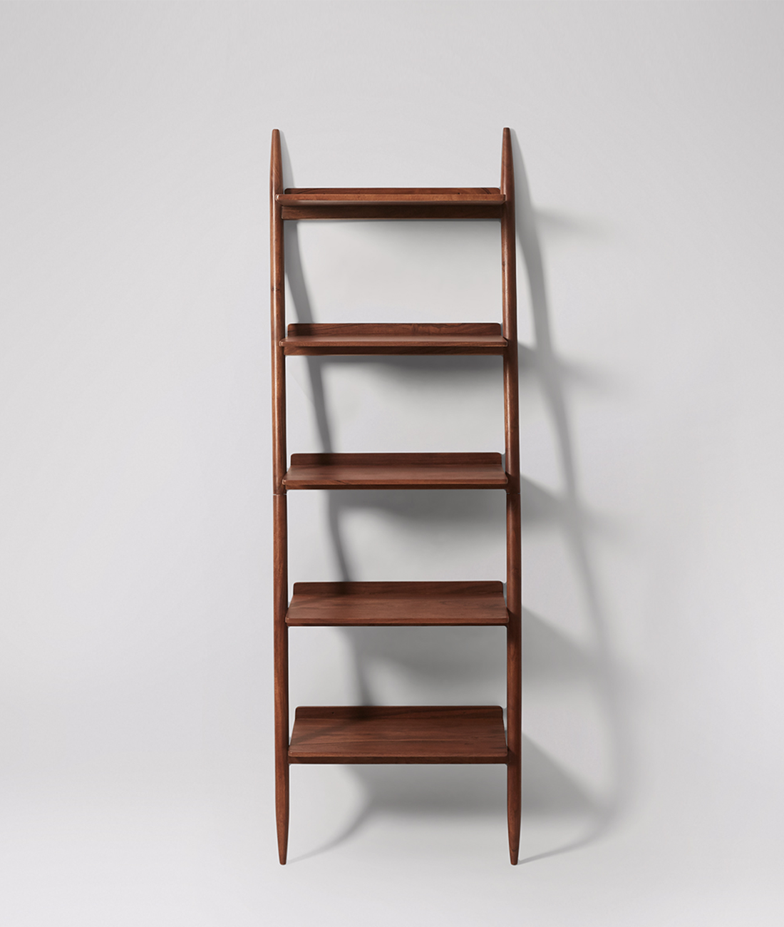 Lily Ladder bookshelf
